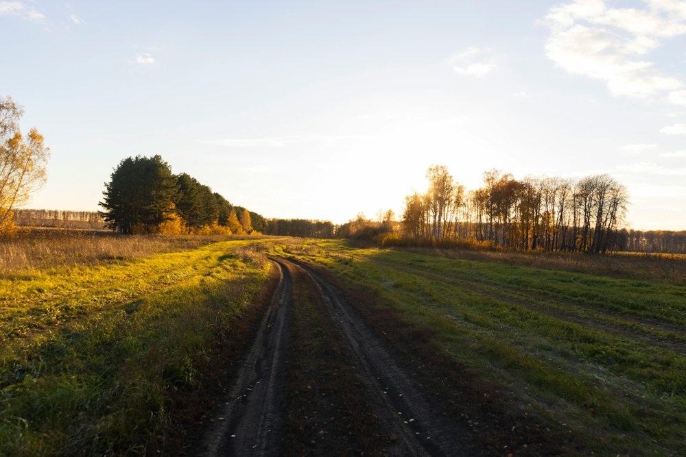 CALLING ALL SCHOLARS! CHIPOTLE IQ IS BACK WITH MORE THAN $1 MILLION IN BOGOS AND FREE BURRITOS